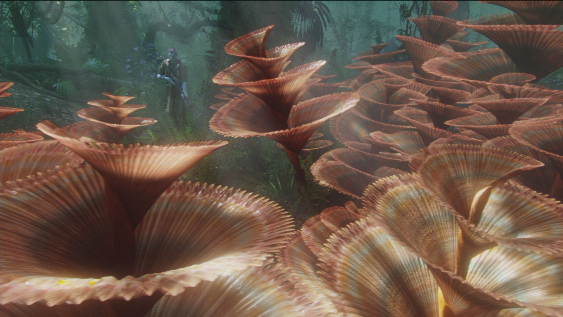 The World Of Avatar Explained Exploring The Flora and Fauna of Pandora   Film Fugitives